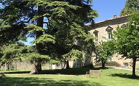 Les cèdres